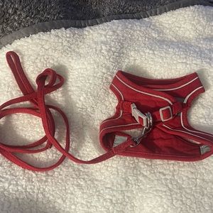 Dog Harness & Leash - Small